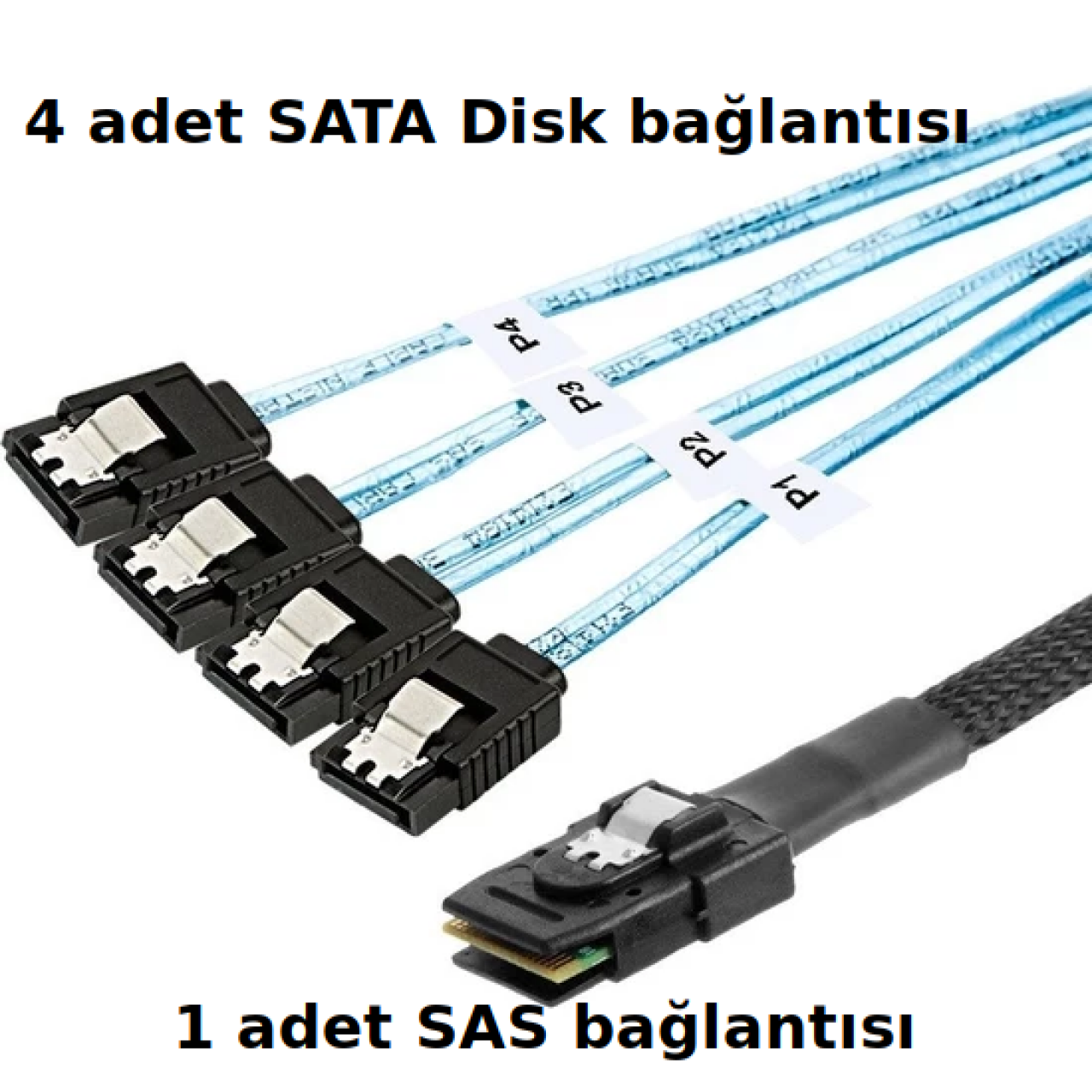 SFF8087 to 4 SATA Disk Kablosu 80Cm